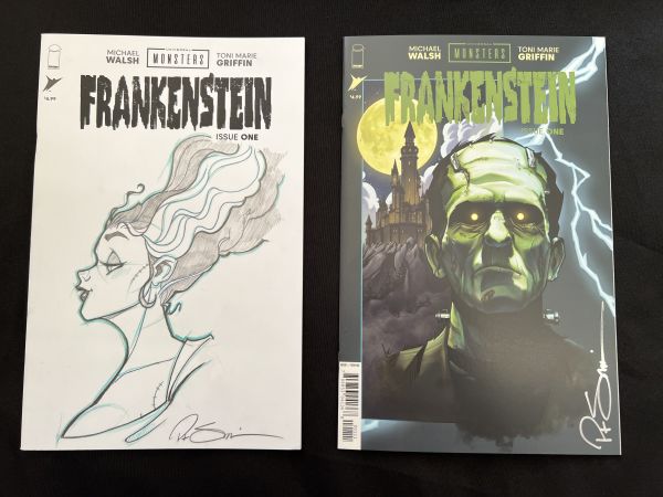 Image for  Bride of Frankenstein Original Pencil Sketch on a Frankenstein #1 Blank Sketch Cover