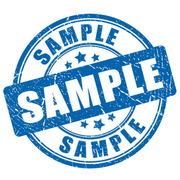 Image for Test auction - bid logic 