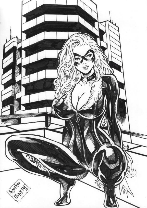 Image for Black Cat 9×12