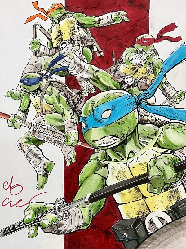 Image for TMNT 