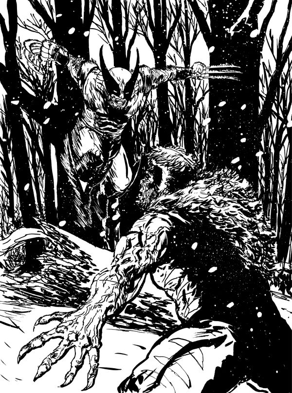 Image for Wolverine VS Sabertooth