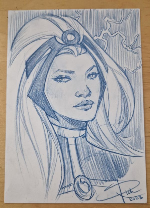Image for Storm by Sabine Rich