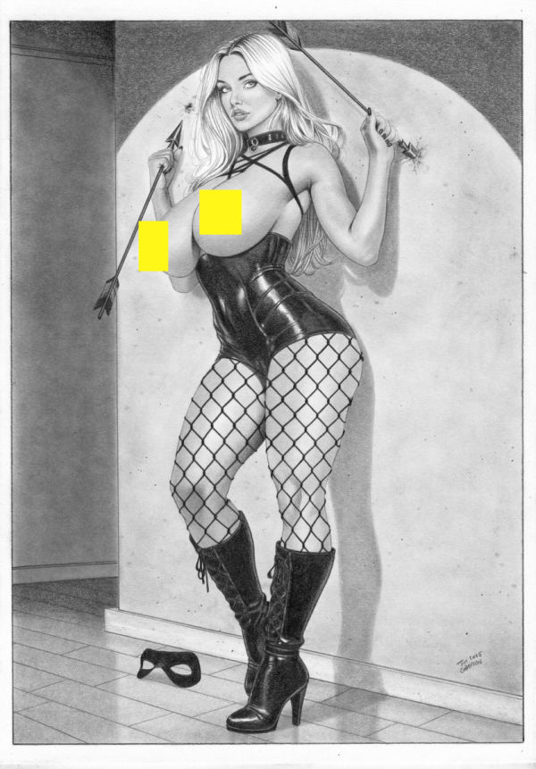 Image for BLACK CANARY Green Arrow