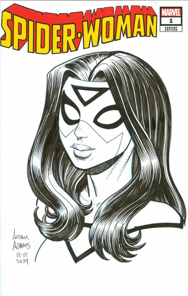 Image for One Arthur Adams Commission drawn at Lexington comic & toy con 2025 (Mail away available!)