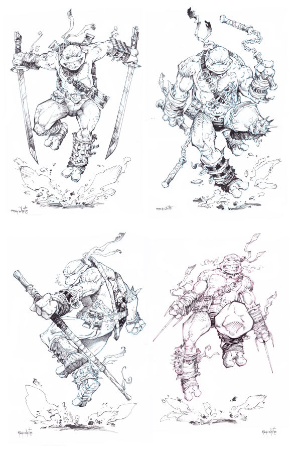 Image for 4  TURTLES !!!!