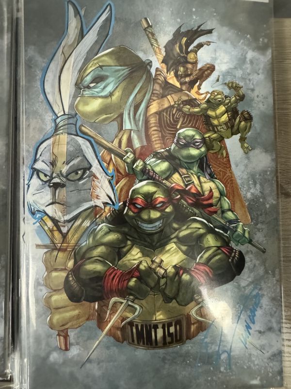 Image for Usagi remark tmnt 150
