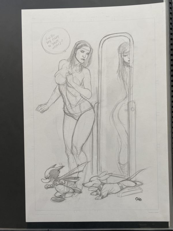 Image for Brandy dressed as wonder woman by frank cho 