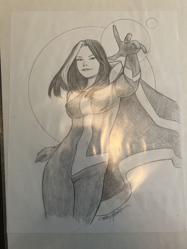 Image for Rogue by Terry Moore