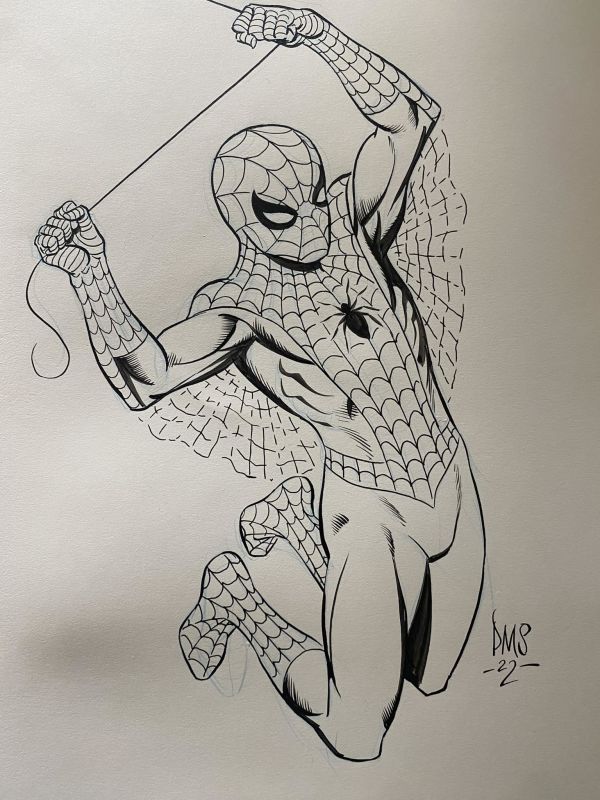 Image for Spider-Man by Paul Martin Smith
