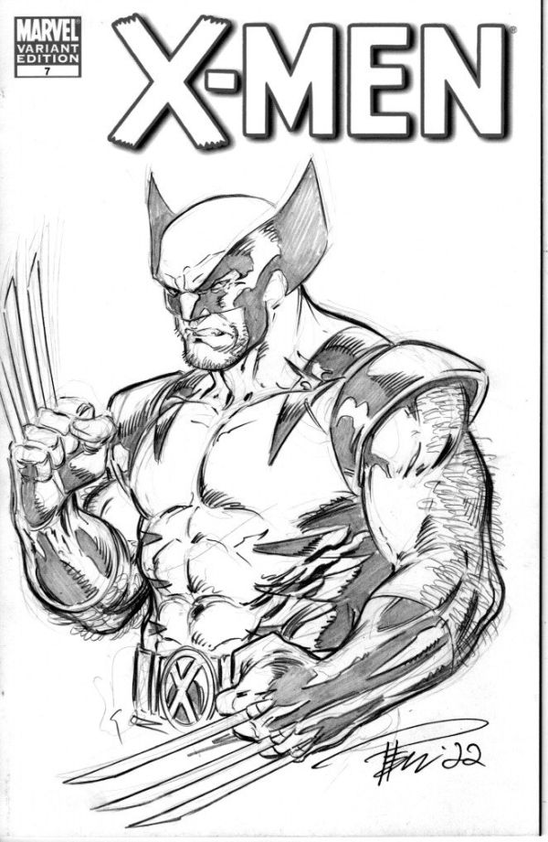 Image for Wolverine Sketch Cover by Paul Pelletier