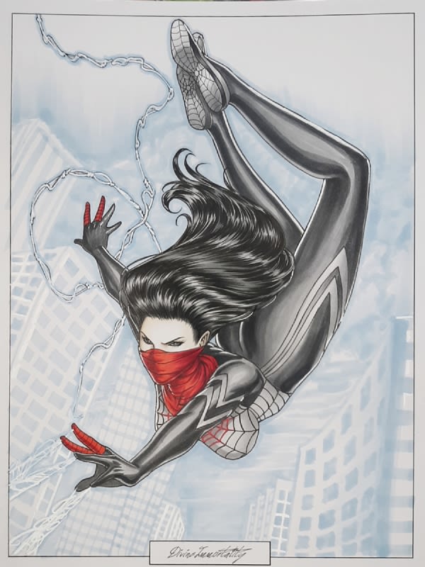 Image for Silk