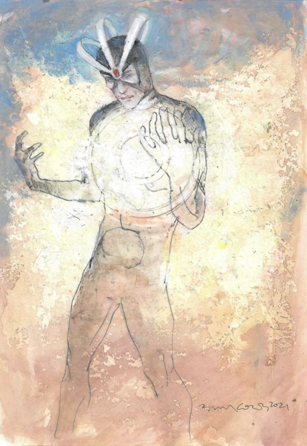 Image for Havok by Bill Koeb