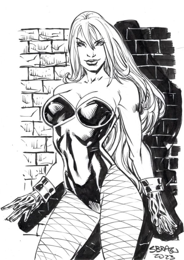 Image for Black Canary by Sbragi