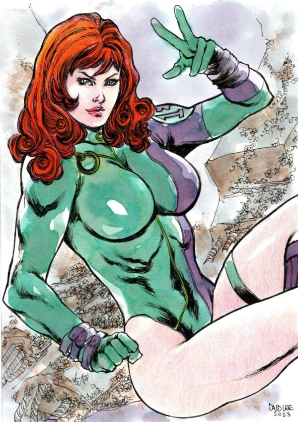 Image for Fairchild by David Lee