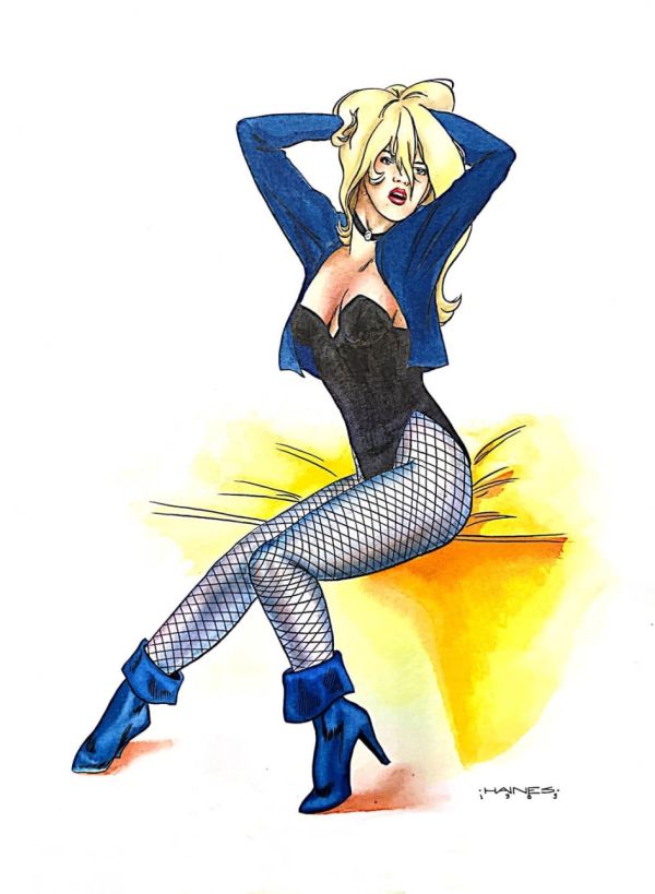 Image for Black Canary by Lurene Haines