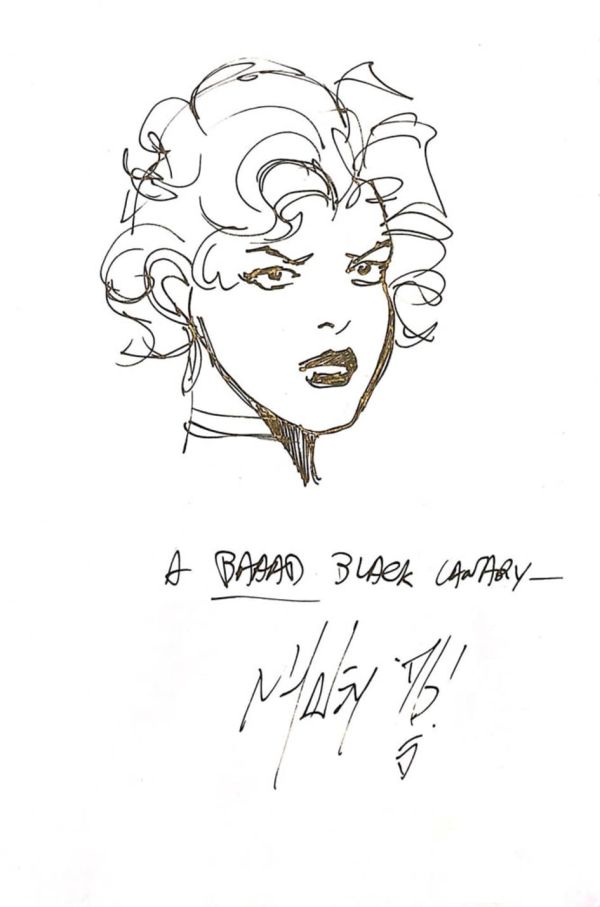 Image for Black Canary by Matt Haley