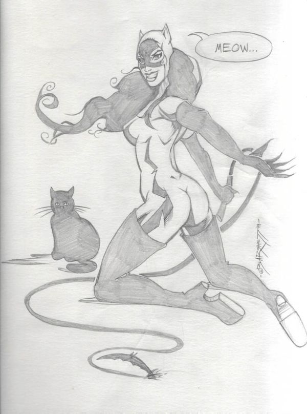 Image for Catwoman by Blair Shedd