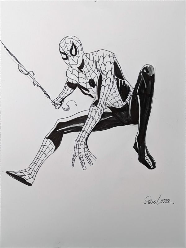 Image for Spider-Man by Steve Lieber