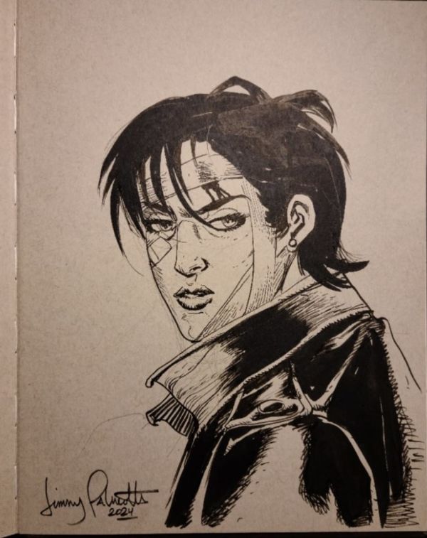 Image for Jimmy Palmiotti - Painkiller Jane