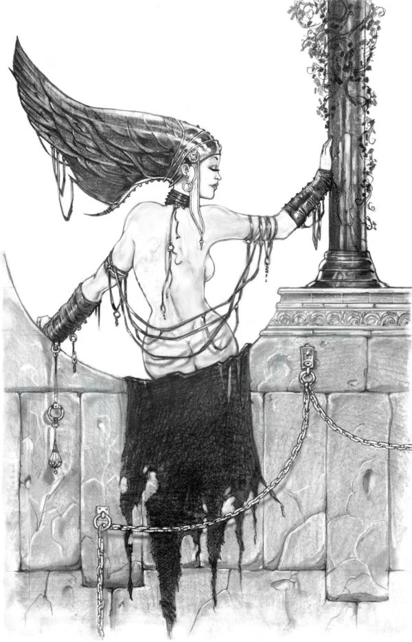 Image for back view