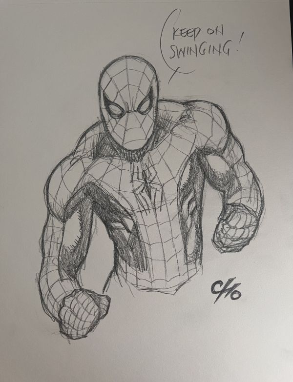 Image for Spider-Man by Frank Cho