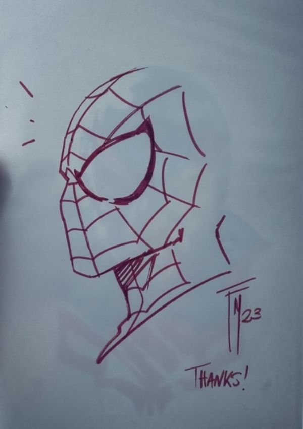 Image for Federico Mele Spider-Man sketch. Drawn and signed by Federico Mele !