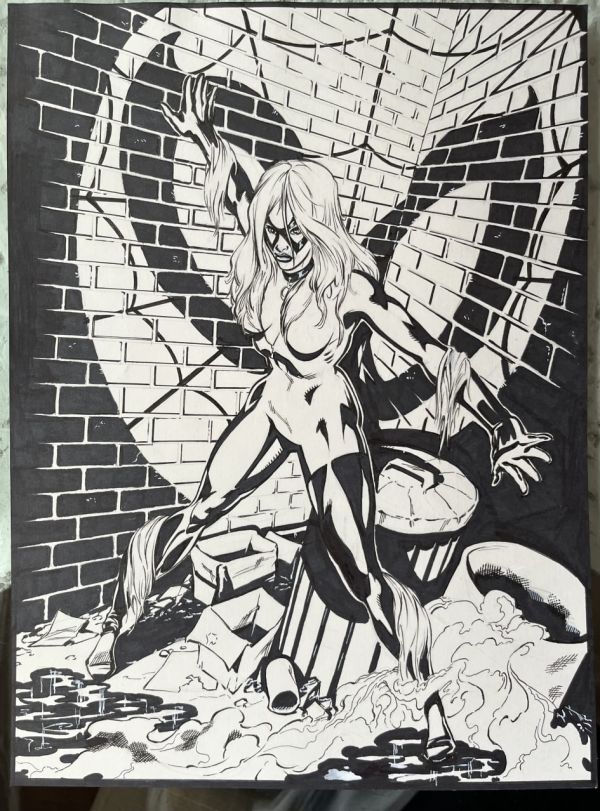 Image for Black Cat trapped