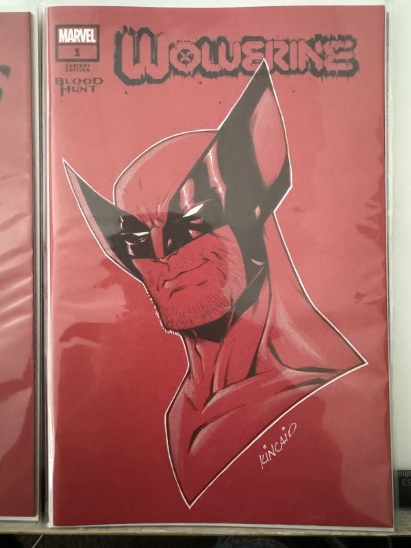 Image for Wolverine head sketch Blood Hunt