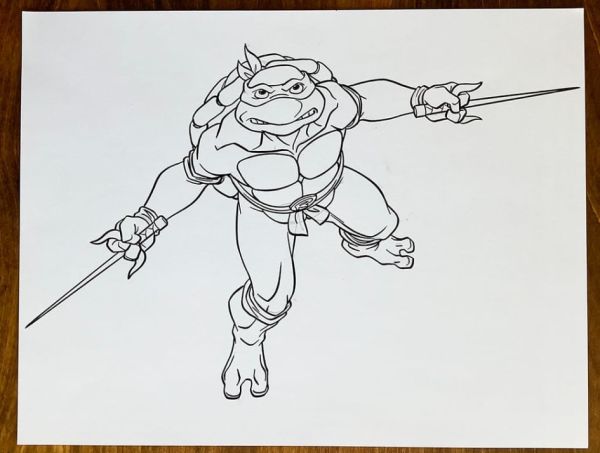 Image for RAPHAEL