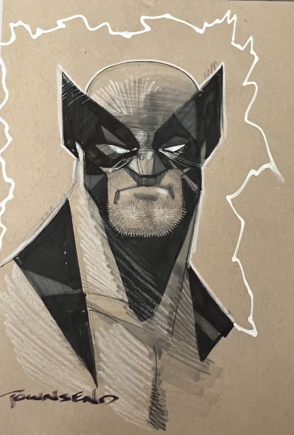 Image for Wolverine - Tim Townsend