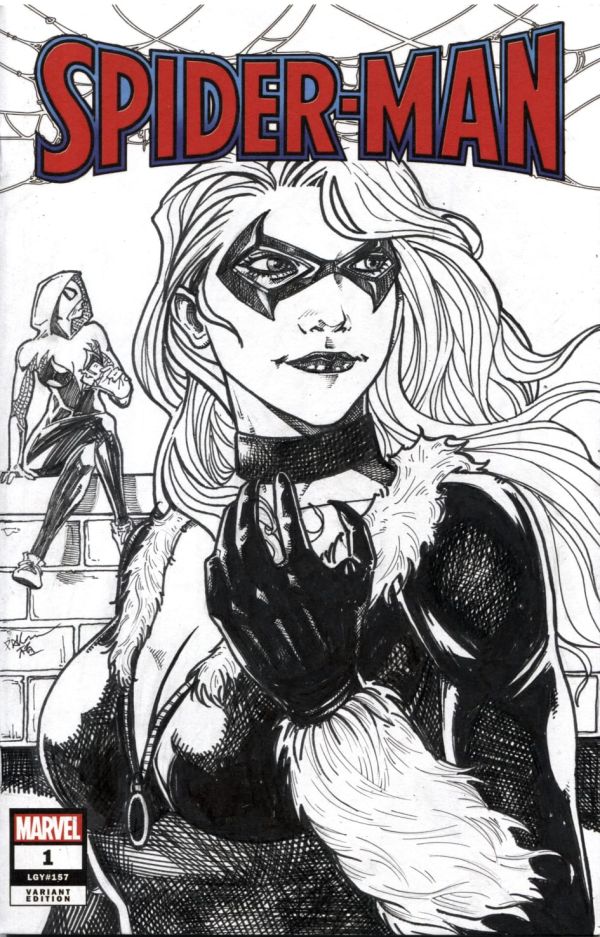 Image for Black Cat on Spiderman blank