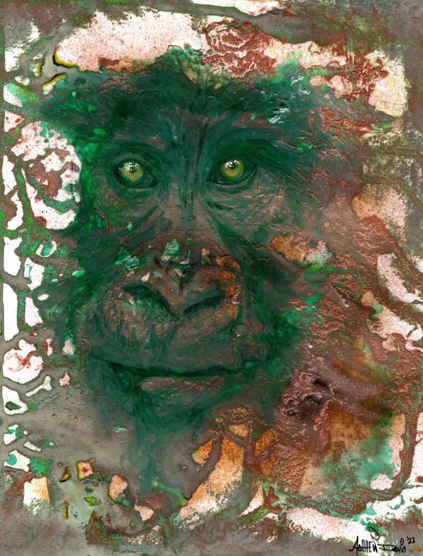 Image for Angel Eyes