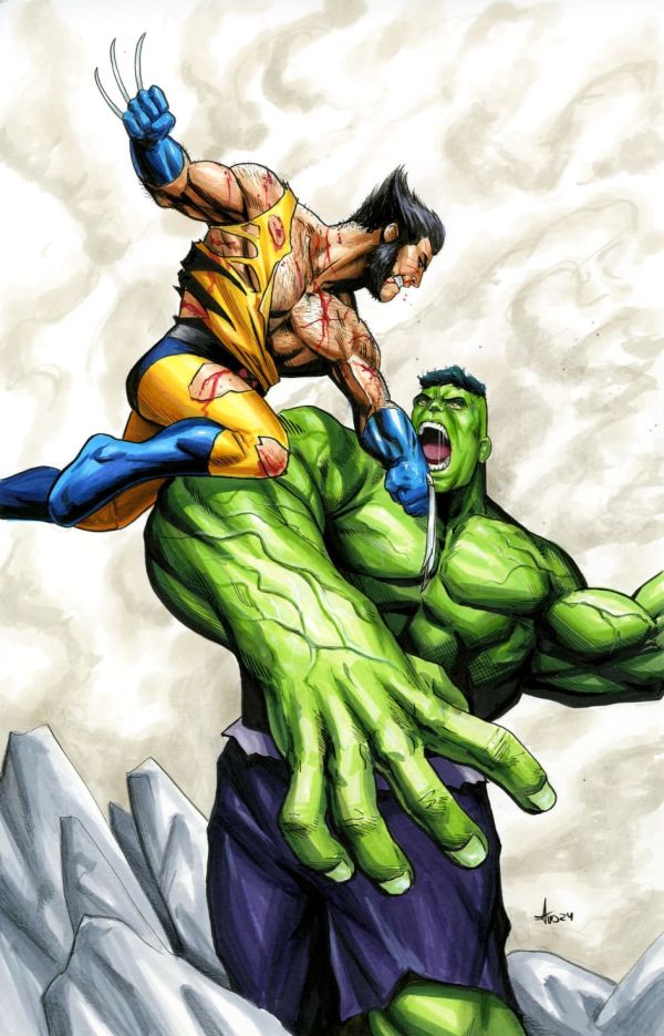 Image for hulk vs wolv