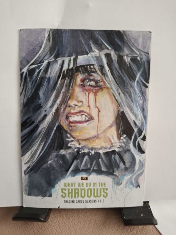 Image for (Not for sale)What We do in the shadows 