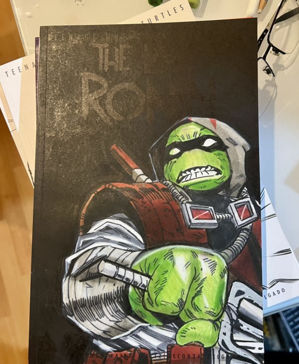 Image for The Last Ronin
