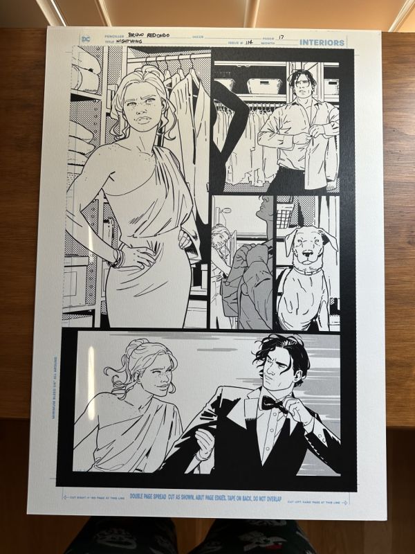 Image for Nightwing Issue #114 Page 17 Bruno Redondo