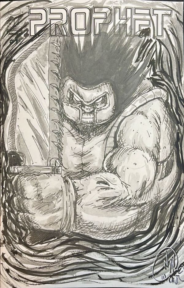 Image for 2024 FCBD Sketchcover 1162