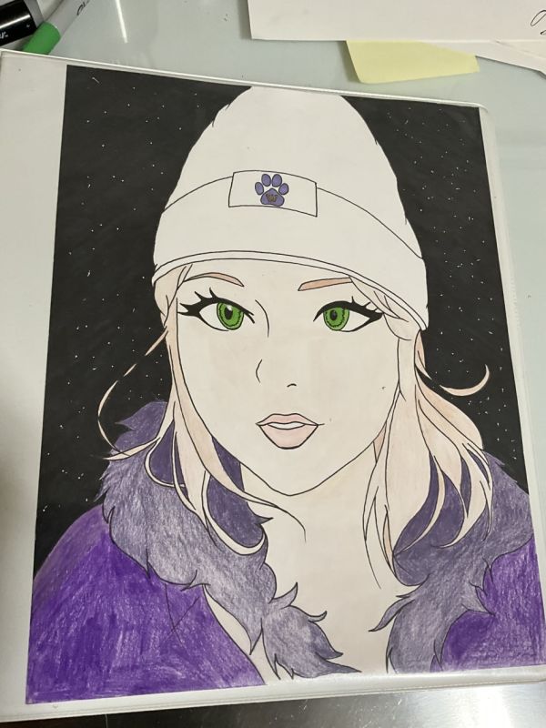 Image for Huskies fan