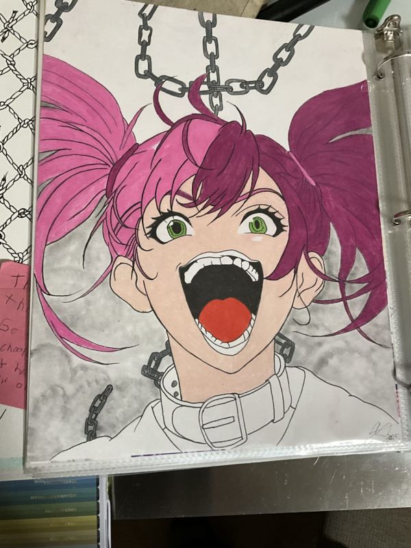 Image for Crazy Wild Ride 