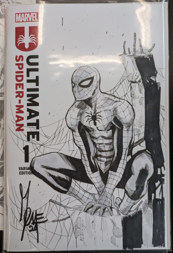 Image for Spider-man on blank cover by Marco Checchetto