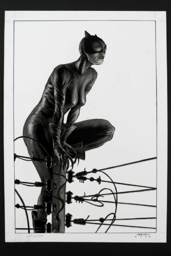 Image for Catwoman Electric Pole by Aype Beven