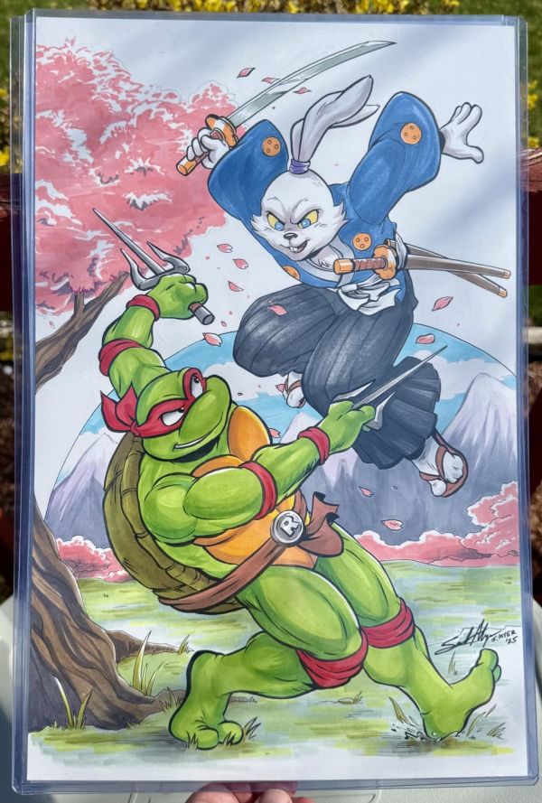 Image for Raphael and Usagi Training Amongst Cherry Blossoms 🌸  