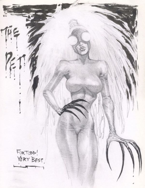 Image for The Pet