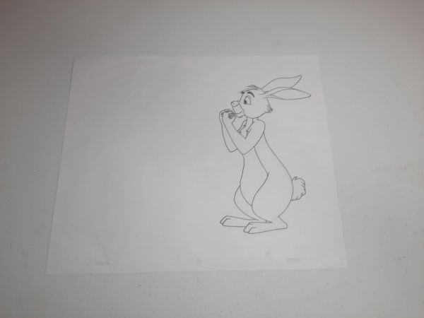 Image for Rabbit04