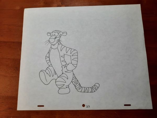 Image for TIGGR22