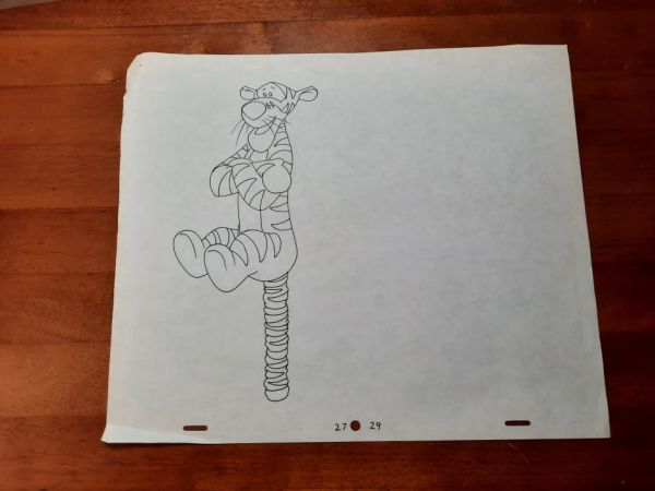 Image for TIGGR27-29