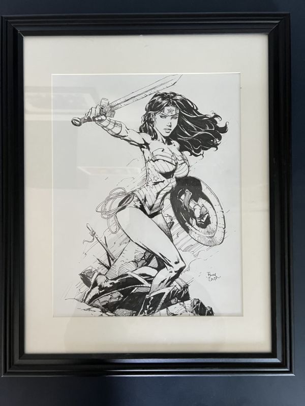 Image for David Finch Wonder Woman Sketch on 11 x 17 Bristol Board