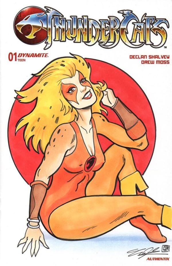 Image for Thundercats Cheetara sketch cover by Tim Shinn