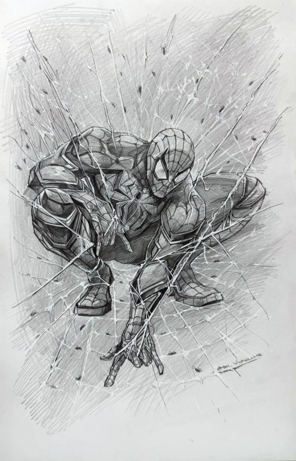 Image for Spider-Man Ivan Tao Published Original Art Cover