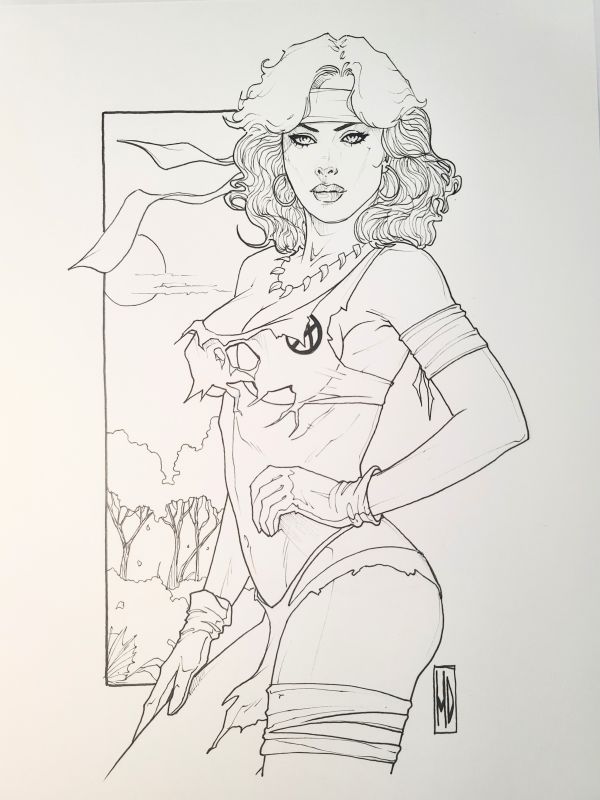 Image for Savageland Rogue